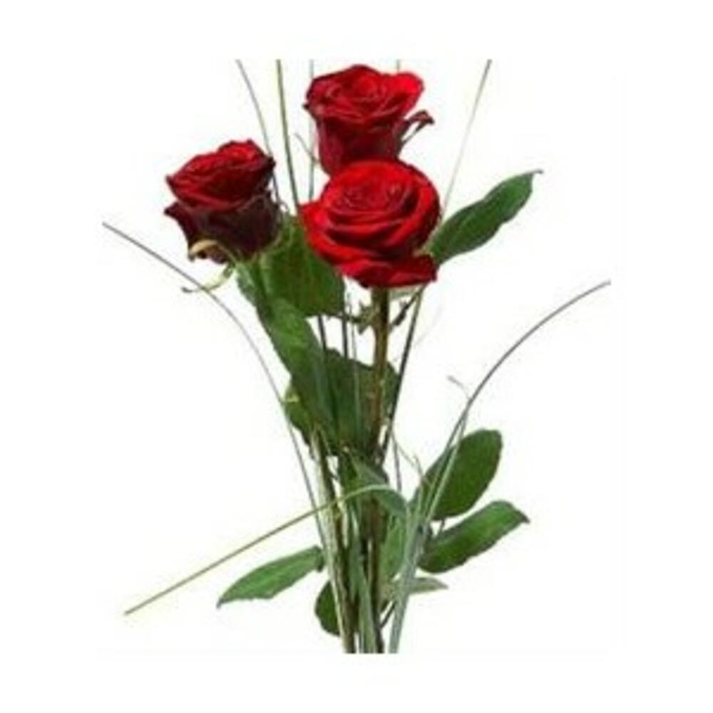 Небольшие букеты. Букет из трех роз. Розы перевязанные лентой. Букет без упаковки. Букет из разноцветных роз.